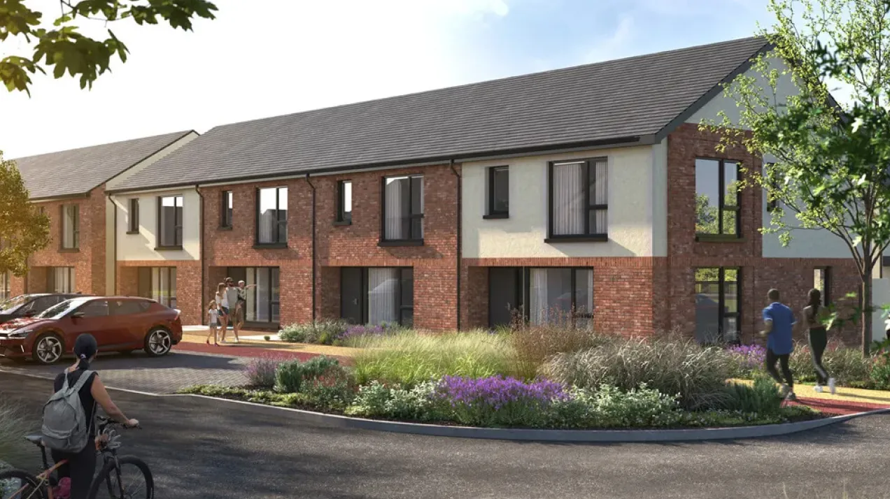 Aster Park, Rush by Ballymore